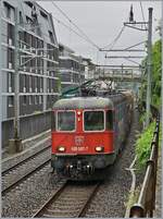 Die SBB Re 6/6 11687 (Re 620 087-7) ist mit einem Gterzug auf der Simplonlinie unterwegs und erreicht Montreux.