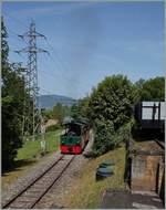 Die kleine Blonay-Chamby Tramway-Lok erreicht mit einem Wagen Chaulin.