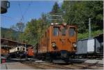 50 Jahre Blonay Chamby - MEGA BERNINA FESTIVAL: Die Bernina Bahn (BB) Ge 4/4 81 (ex Ge 6/6 81 bzw.