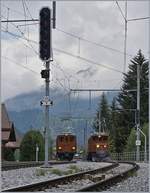 50 Jahre Blonay Chamby - MEGA BERNINA FESTIVAL -  Bündner Tag im Saaneland : Die BB Ge 4/4 81 (RhB Ge 4/4 181) und die RhB Ge 4/4 182 zeigen sich in Gstaad als Parallel-Fahrt.