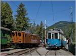 50 Jahre Blonay Chamby - MEGA BERNINA FESTIVAL: Die RhB Bernina Bahn Ge 4/4 81 der Blonay Chamby Bahn im Museum von Chaulin.