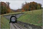 Der MCM Triebwagen der Blonay-Chamby Bahn verlässt den kurzen Tunnel nach der Baie de Clarens Schlucht.