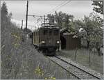 Die Blonay-Chamby Bernina Bahn Ge 4/4 81 auf dem Weg nach Blonay bei Cornaux.