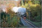 Das Baye de Clarens Viadukt ist sicherlich der Höhepunkt feiner Fahrt mit der Museumsbahn Blonay-Chamby, aber mir gefällt der darauf folgende Abschnitt in der Baye de Clarens Schlucht auch