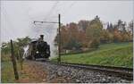 Bei diesigem Wetter dampft die BFD HG 3/4 N° 3 der Blonay-Chamby Bahn bei Chaulin in Richtung  Chamby.