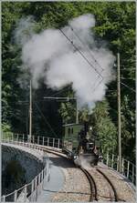 Ohne Wagen dampft die 1890 gebaute LEB G 3/3 N° 5 der Blonay Chamby Bahn bei Vers-Chez-Robert über das Baye de Clarens Viadukt.