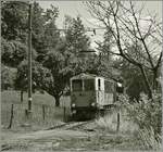 Der LLB ABFe 2/4 10 Blonay-Chamby Bahn ist bei Cornaux auf dem Weg nach Blonay.