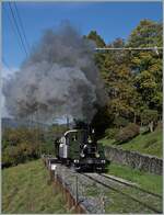 Kräftig dampfend fährt die LEB G 3/3 N° 5 der Blonay Chamby Bahn bei Chaulin in Richtung Chamby.