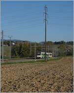 Ein BAM SURF auf der Fahrt nach Morges in Gilly.