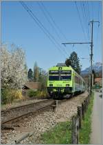 Ein BLS Regionalzug nach Interlaken Ost verlsst Leissigen.