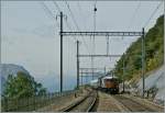 BLS Ae 6/8 208 und SBB Ae 4/7 mit ienem Extrazug zum BLS Jubilum in Hohtenn.