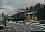 Die BLS Re 4/4 193  Grenchen  mit einem GoldenPass RE bei der Ausfahrt in Erlenbach.