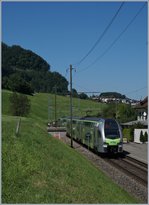 Ein BLS RABe 515  Mutz  als Regionalzug Spiez Interlaken bei Faulensee.