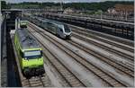 Blick auf den Bahnhof von Spiez mit der BLS Re 465 013 und einem RABe 528  MIKA . 

23. Juli 2024