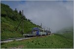 Die beinden Beh 4/8 302 und 303 auf Bergfahrt Richtung Rochers de Naye kurz nach Jaman.