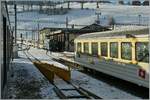 Ein MOB Panoramic Express erreicht Zweisimmen.