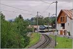 Die MOB Ge 4/4 8004 fährt mit ihrem MOB Panoramic Express auf dem Weg nach Montreux bei der Haltestelle Planchamp durch.