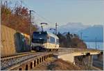 Die MOB Ge 4/4 8001 als Lokfahrt (wahrscheinlich) nach Chernex kurz nach der Autobahnbrücke bei Châtelard VD.