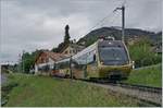 Ein  Lenkerpendel  auf dem Weg nach Montreux bei Planchamp.