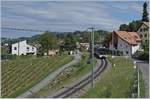 Die MOB GDe 4/4 6005 ist mit ihrem PE 2115 auf dem Weg nach Monteux bei Planchamp unterwegs.