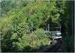 Der MVR MOB ABeh 2/6 7504  VEVEY  verschwindet bei Sonzier auf dem Weg nach Montreux im Wald.