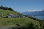 Ein MOB Alpina Zug auf dem  Weg nach Zweisimmen kurz vor Planchamp.