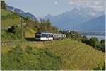 Der letzte  GoldenPass Belle Epoque   Zug des Tages ist kurz vor Planchamp auf dem Weg nach Zweisimmen.