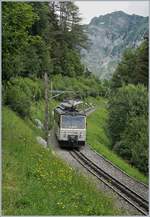 Die beiden  Rochers de Naye Beh 4/8 304 und 305 auf Bergfahrt bie Les Hauts de Caux.