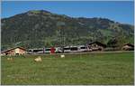 Bei Gstaad ist ein  Lenker-Pendel  (Bt/Be 4/4 ABT) auf der Fahrt nach Zweisimmen.