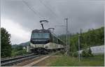 Die MOB Ge 4/4 8004 schiebt bei Plachmamp ihren Panoramic Express in Rictuntung Zweisimmen.