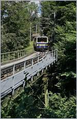 Der Rochers de Naye Beh 4/8 101  Montreux  auf Talfahrt kurz vor Le Tremblex.