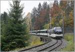 Der MOB Alpina Be 4/4 9204 (und ein weiterer am Zugschluss) auf der Fahrt von Montreux nach nach Zweisimmen kurz nach Sendy-Solard.