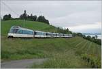 Ein MOB Panoramic Express in den Weinbergen oberhalb von Montreux bei Planchamp.