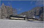 Die MOB Ge 4/4 8004 ist mit ihrem MOB Panoramic Express bei Les Avanst auf dem Weg nach Zweisimmen.