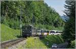 Die MOB GDe 4/4 6002 mit einem Panoramic Express nach Zweisimmen kurz vor Chamby.