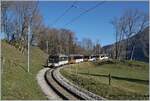 Die MOB GDe 4/4 6005 ist mit einem MOB Panoramic Express von Montreux nach Zweisimmen kurz vor Montbovon unterwegs.