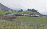 Eine MOB Ge 4/4 Serie 8000 ist mit ihrem GoldenPass Express bei Planchamp von Montreux nach Interlaken Ost unterwegs.