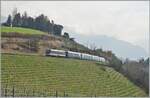 Eine MOB Ge 4/4 Serie 8000 ist mit ihrem GoldenPass Express bei Planchamp von Montreux nach Interlaken Ost unterwegs.