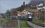 Eine MOB Ge 4/4 Serie 8000 ist mit ihrem GoldenPass Express bei Planchamp von Interlaken Ost nach Montreux unterwegs.