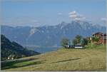 Mit Blick auf Walliser und Savoyer Alpen sowie den Genfersee als Bildhintergrund, erscheint die MOB Ge 4/4 8002 mit dem Golden Pass Express GEX 4064 von Montreux nach Interlaken Ost bei Les Avants.