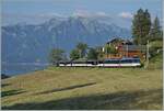 Der MOB ABe 4/4 9302 (Alpina) an der Spitze des Zugs ist mit dem Regionalzug R 30 2207 von Zweisimmen nach Montreux bei Les Avants unterwegs. 
Links sieht sogar noch ein Stück des Genfer Sees. 

28. Juni 2024