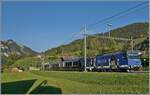 Die MOB Ge 4/4 8001 fährt im frühen Morgenlicht mit dem ersten GoldenPass Express des Tages durch Rossinière in Richtung Zweisimmen.