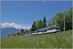 Mit dem Aussichtsteuerwagen Ast 116 an der Spitze und einem  Alpina  Be 4/4 Serie 9000 am Zugschluss ist ein MOB Regionalzug von Zweisimmen nach Montreux bei Les Avants unterwegs.