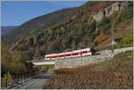 Ein TMR RABe 525  NINA  auf der Fahrt nach Martigny bei Bovernier.