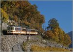 Ein A-L Zahnradbahnzug oberhalb von Aigle.