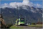 Der TPB Beh 2/6  544 auf der Fahrt in Richtung Monthey bei St-Triphon.