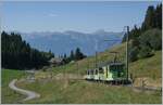 Der BDeh 4/4 N° 82 mit zwei Beiwagen, davon der Bt 64 am Schluss ist bei Col de Soud auf dem Weg in Richtung Col de Bretaye.