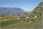 Einer der drei neuen TPC ASD ABe 4/8 ist in den Weinbergen oberhalb von Aigle auf der Fahrt nach Aigle.