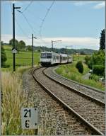 Ein TPF Regionalzug bei Murten.25.