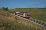 Ein TRAVYS RBDe 560 Domino ist bei Les Charbonnières auf dem Weg nach Vallorbe.